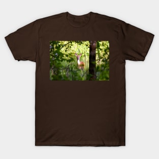 "The Watcher" T-Shirt